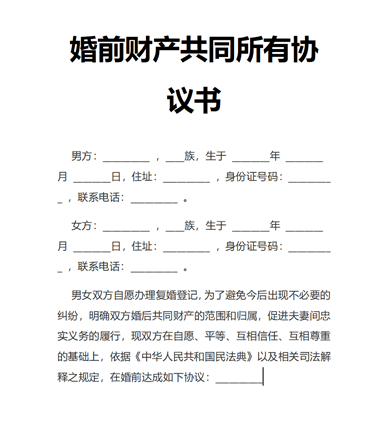 婚前财产共同所有协议书