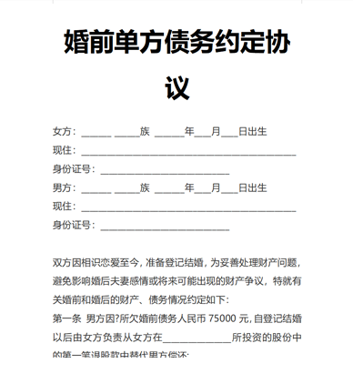 婚前单方债务约定协议